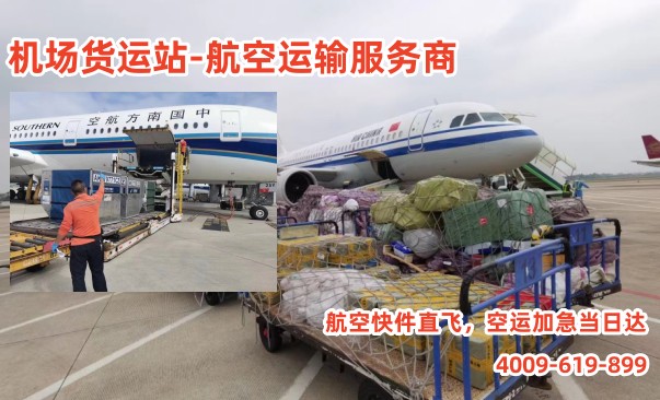 拉萨空运公司,当天送达的快递服务